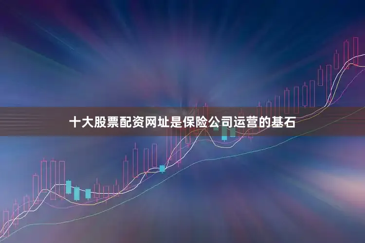 十大股票配资网址是保险公司运营的基石