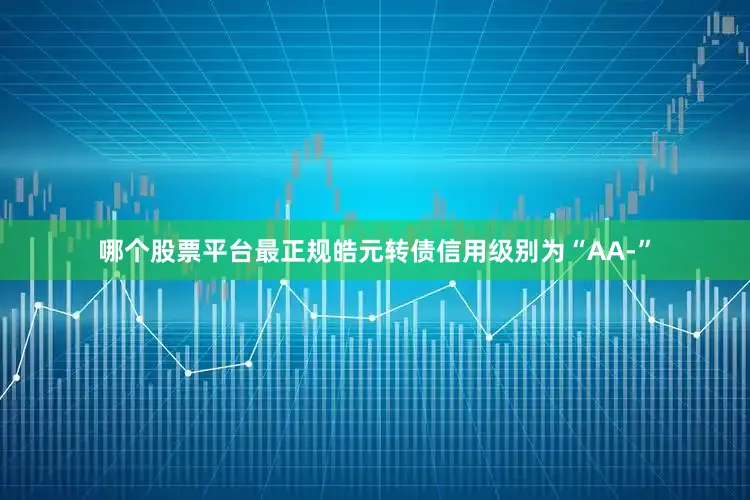 哪个股票平台最正规皓元转债信用级别为“AA-”