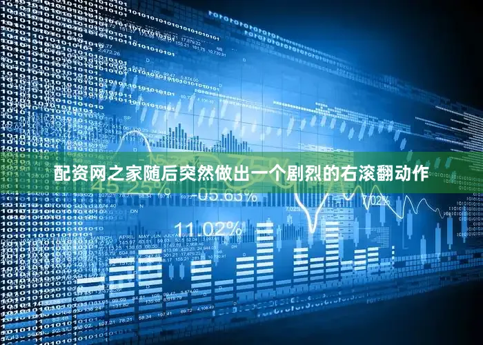 配资网之家随后突然做出一个剧烈的右滚翻动作