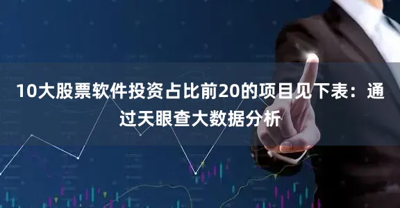 10大股票软件投资占比前20的项目见下表：通过天眼查大数据分析